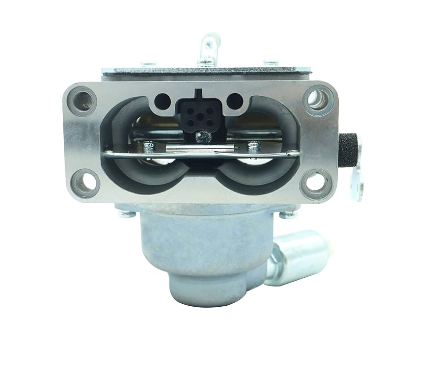 Amazon.com: DABAZUALY Carburetor Compatible with BS 796227